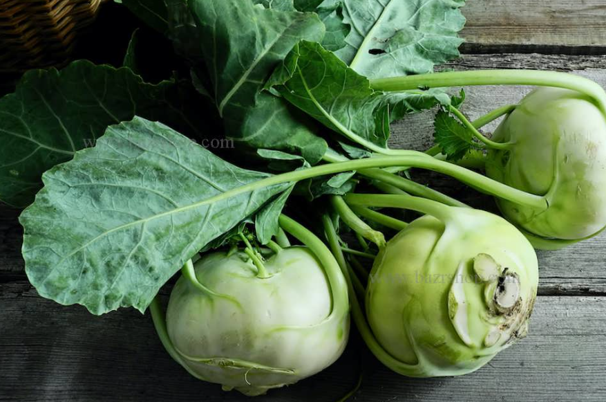 فروش کلم قمری