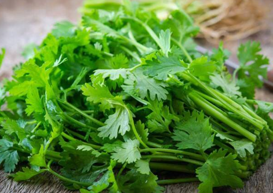 فروش جعفری تازه