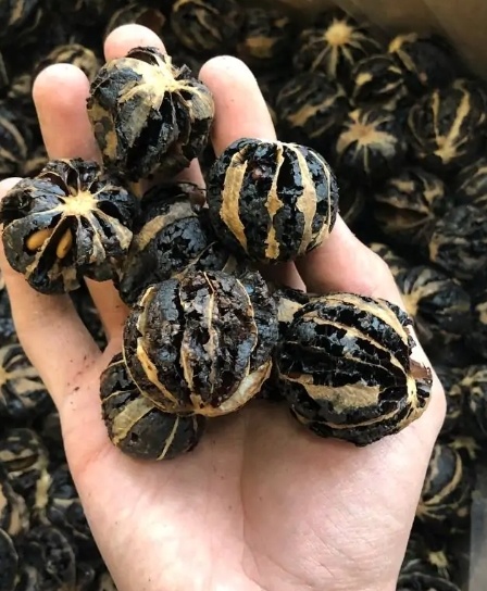 فروش لیمو خشک ببری