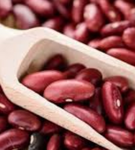 فروش لوبیا قرمز