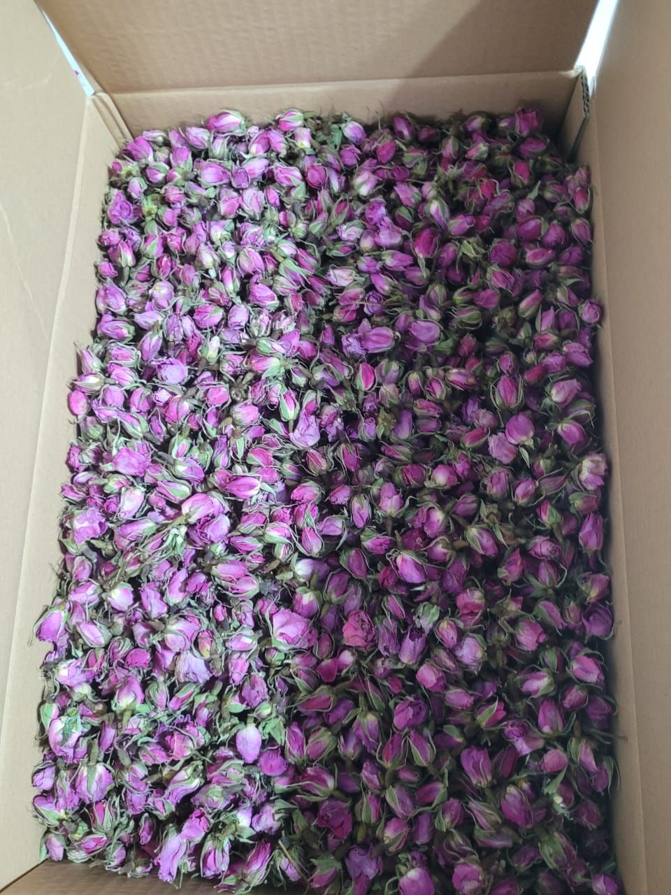 فروش گل محمدی (گیاه‌ دارویی)