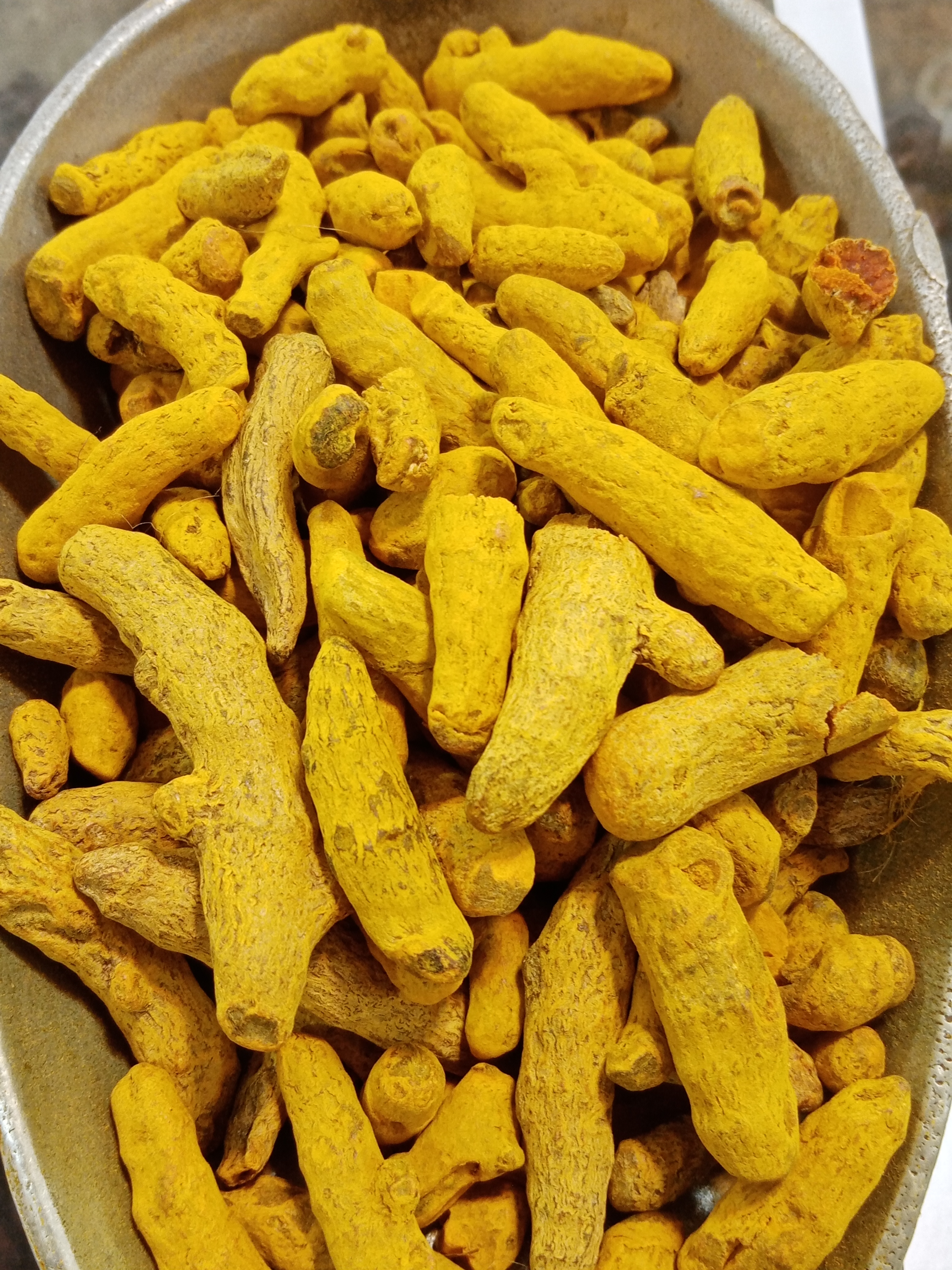 فروش زردچوبه