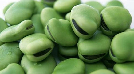 فروش محصولات زراعی