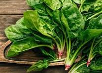 فروش اسفناج