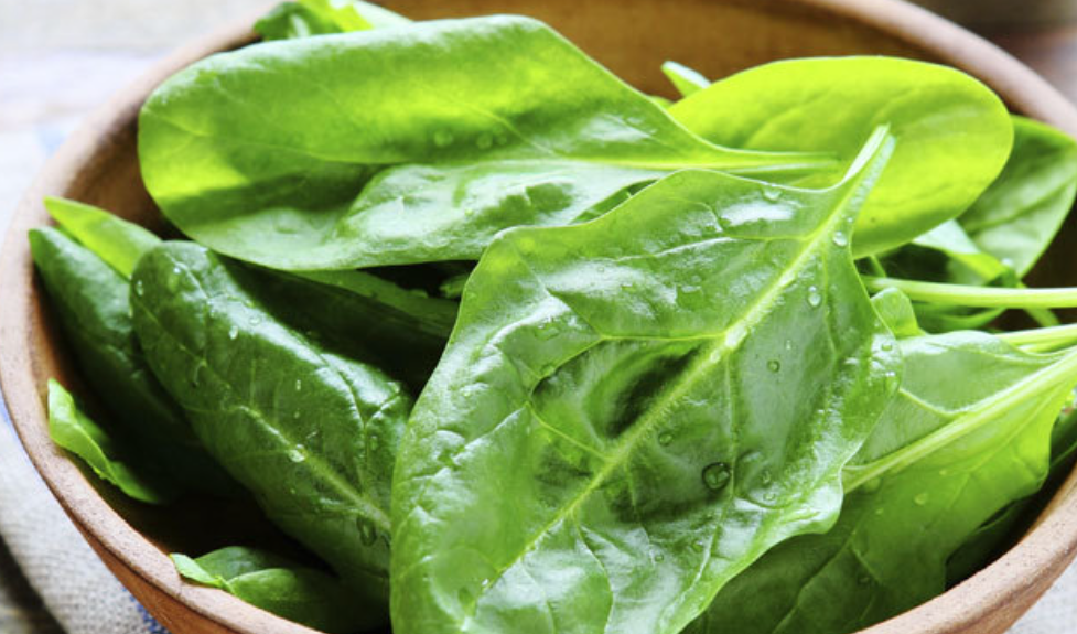 فروش برگ چغندر