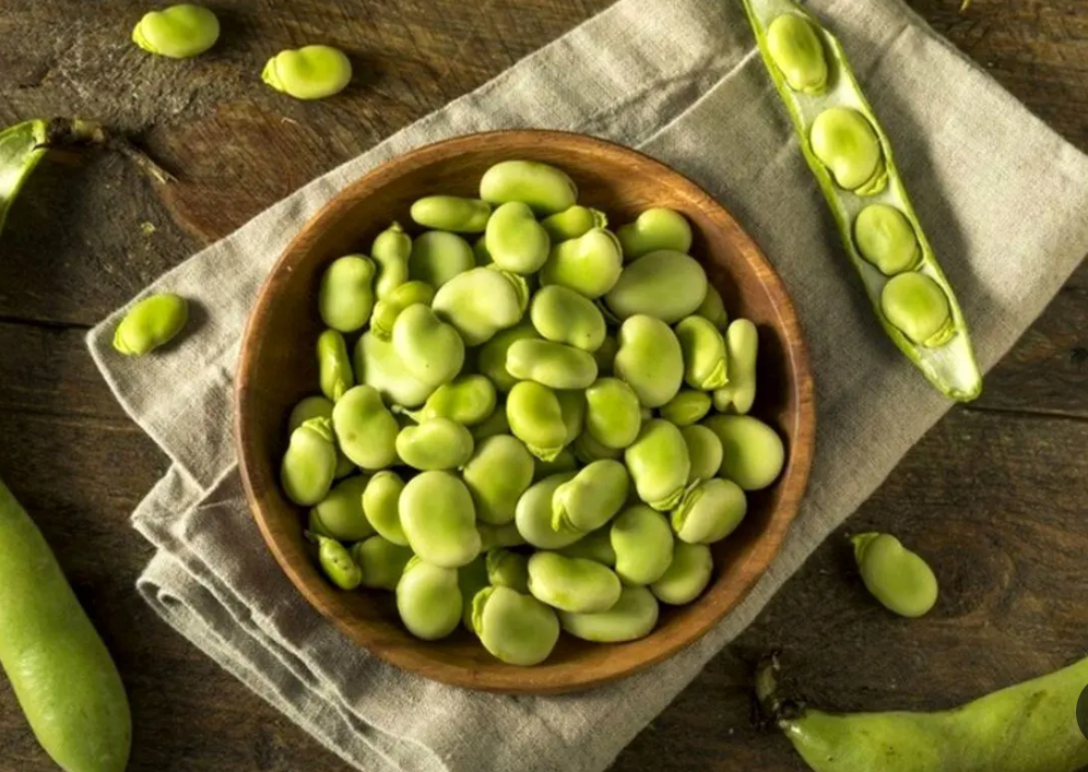 فروش باقلا تازه - باقالی - باقالا