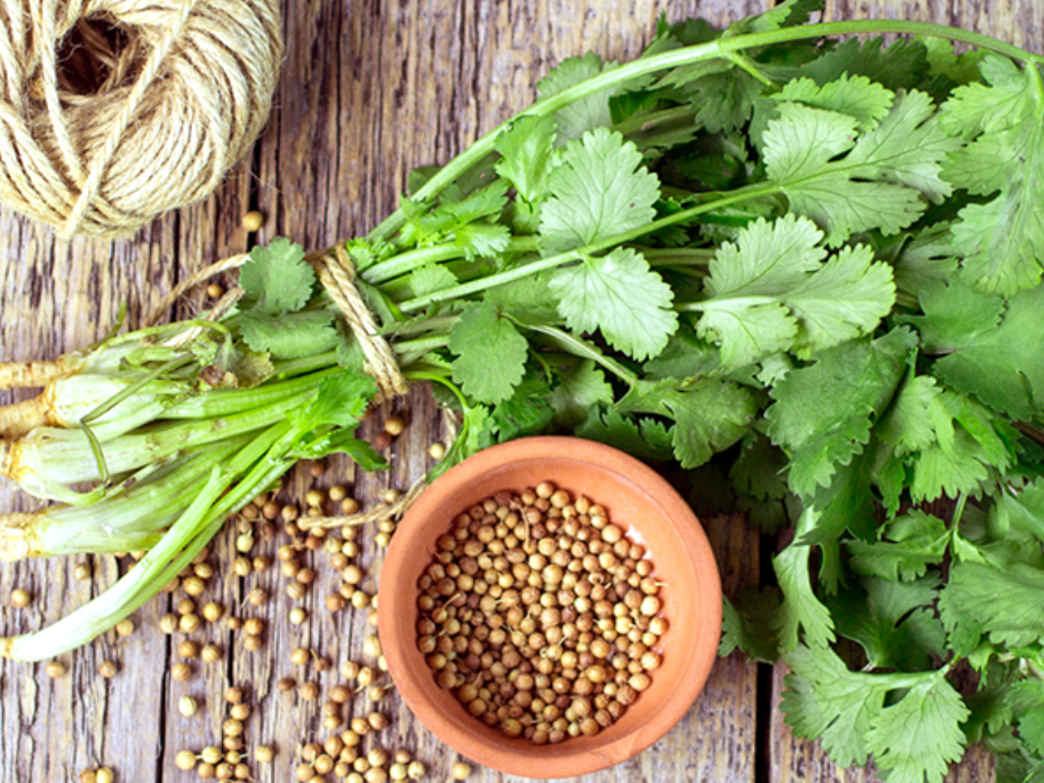 فروش جعفری تازه