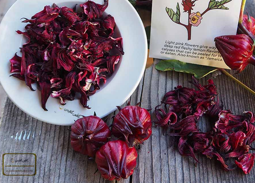 فروش چای ترش