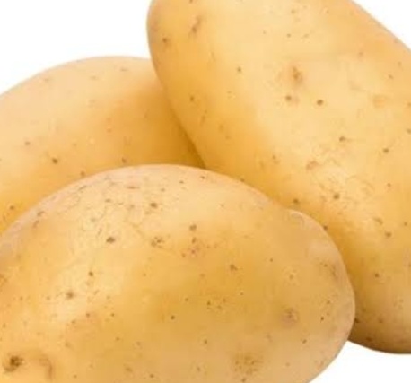 فروش سیب زمینی