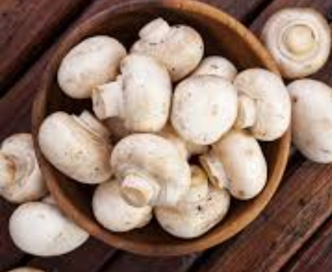 فروش قارچ دکمه ای