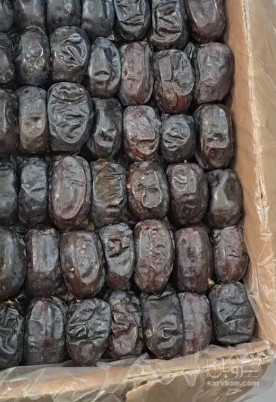 فروش خرما خنیزی