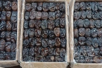 فروش خرما مضافتی