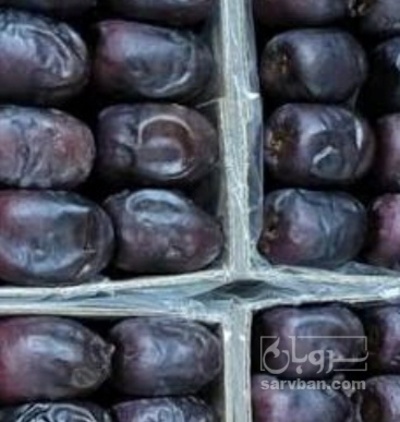 فروش خرما مضافتی