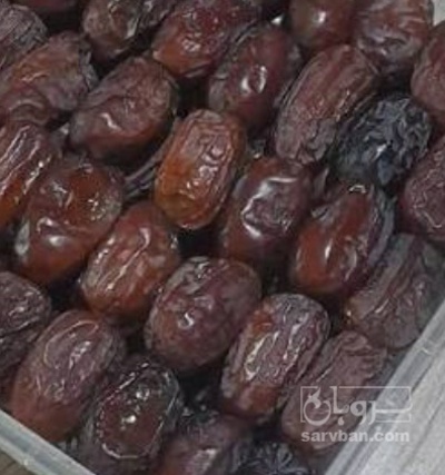 فروش خرما کلوته