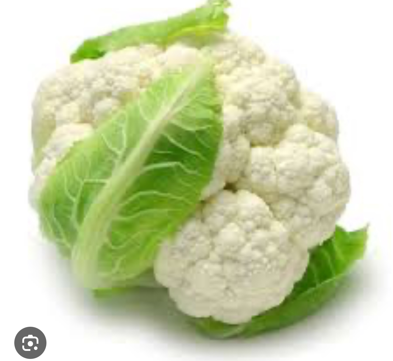 فروش گل کلم