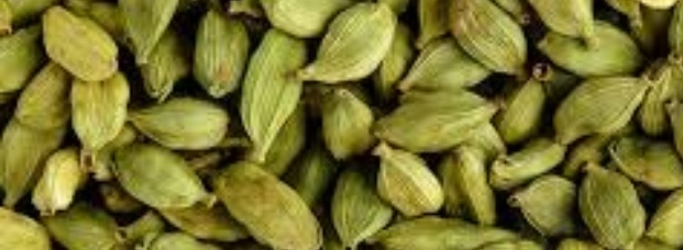 فروش هل (گیاه‌ دارویی)