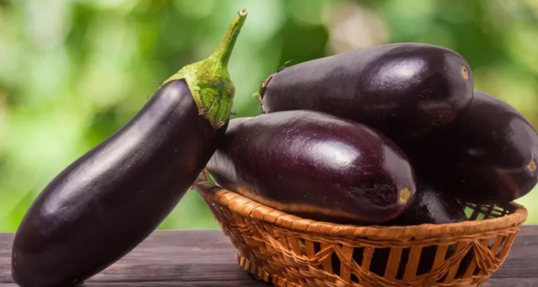 فروش بادمجان قلمی