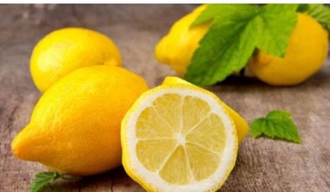 فروش لیمو ترش