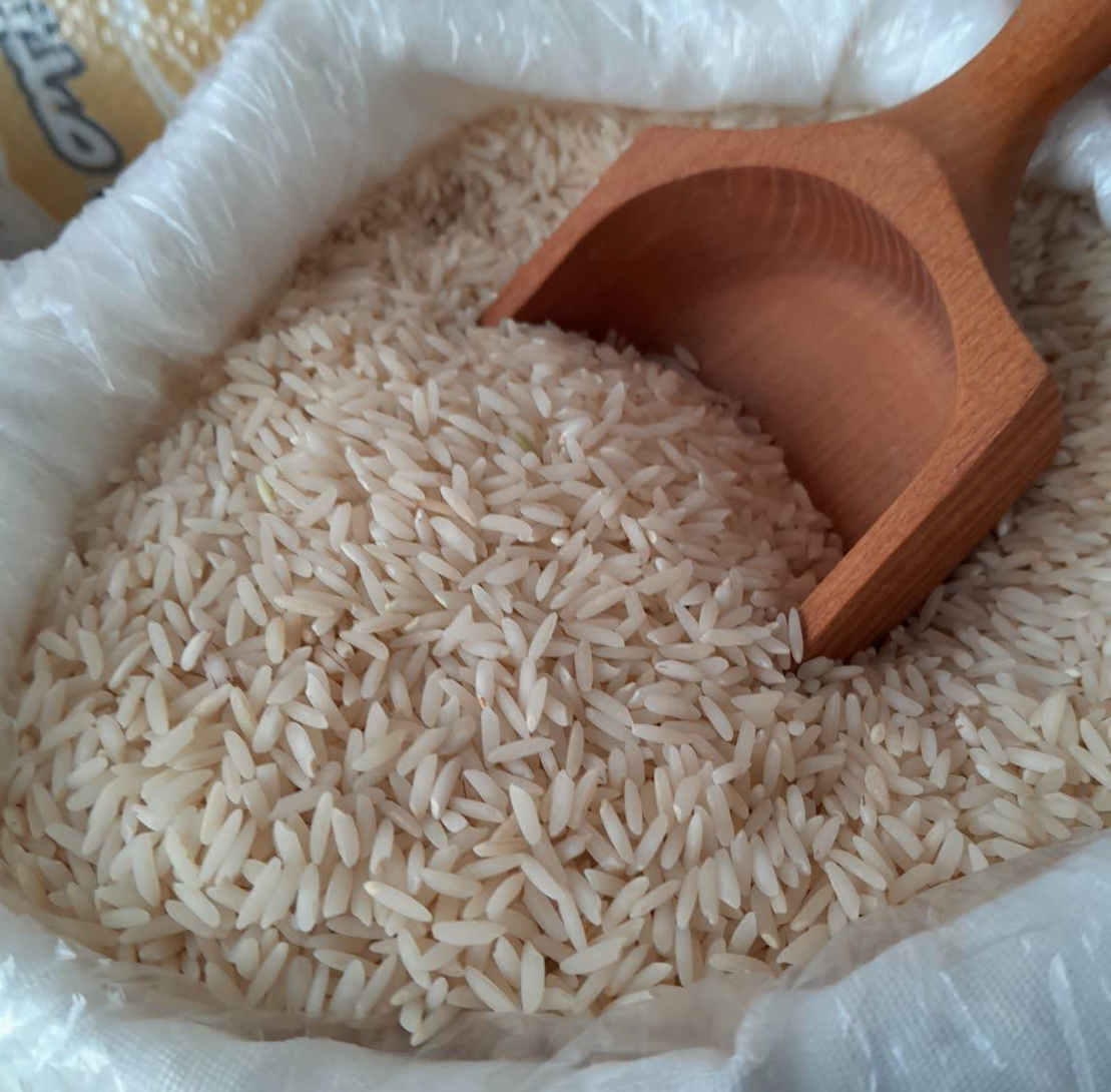 فروش برنج چمپا