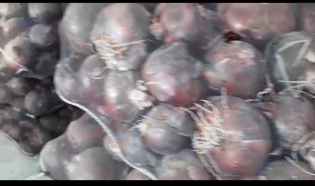 فروش پیازقرمز