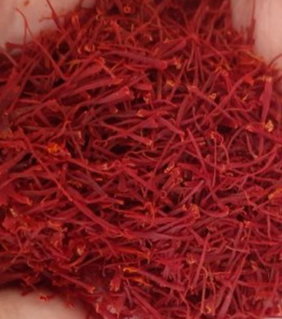 فروش زعفران (گیاه‌ دارویی)