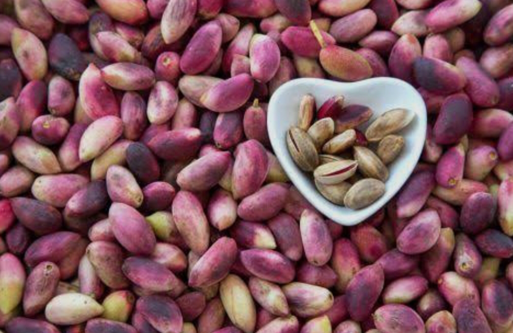 فروش پسته فندقی