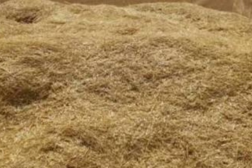 فروش کاه و کلش گندم