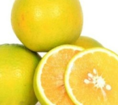 فروش لیمو شیرین