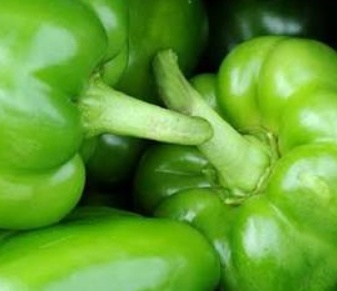 فروش فلفل دلمه ای