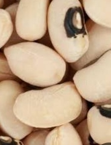 فروش لوبیا چشم بلبلی