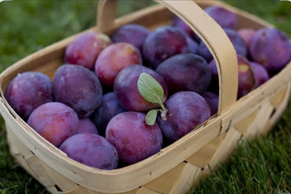 فروش آلومشهدی