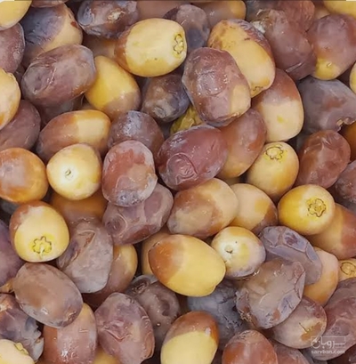 فروش خرماپرکو