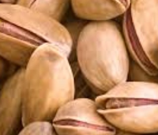 فروش پسته کله قوچی