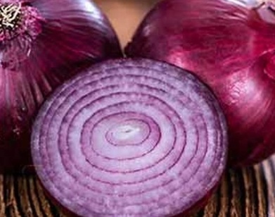 فروش پیاز قرمز