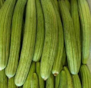 فروش خیار چنبر