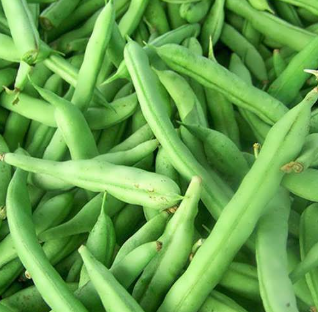 فروش لوبیا عربی