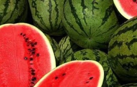 فروش هندوانه