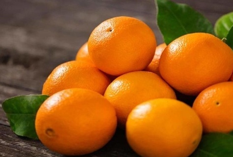 فروش پرتقال