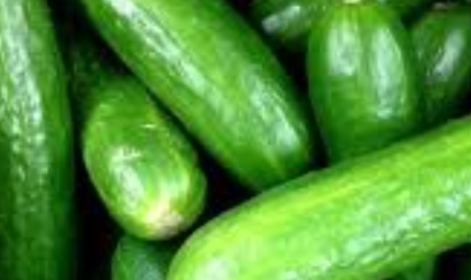 فروش خیار هوای ازاد