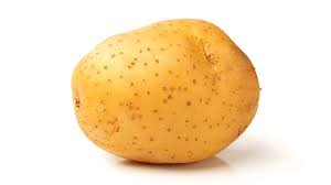 فروش سیب زمینی