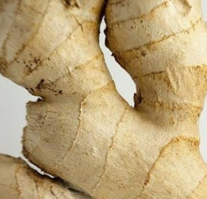 فروش زنجبیل تازه (گیاه‌ دارویی)