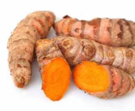 فروش پودر زردچوبه تازه