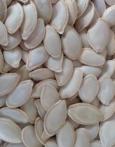 فروش تخمه  کدو بو داده