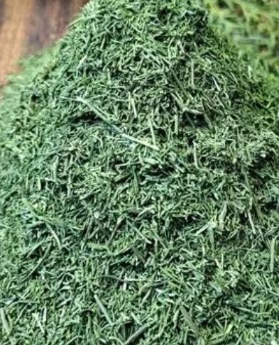 فروش شوید خشک (گیاه‌ دارویی)