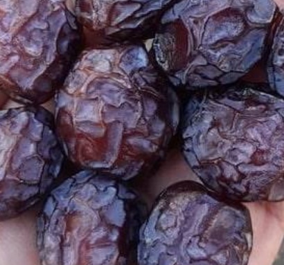 فروش خرما سویدانی