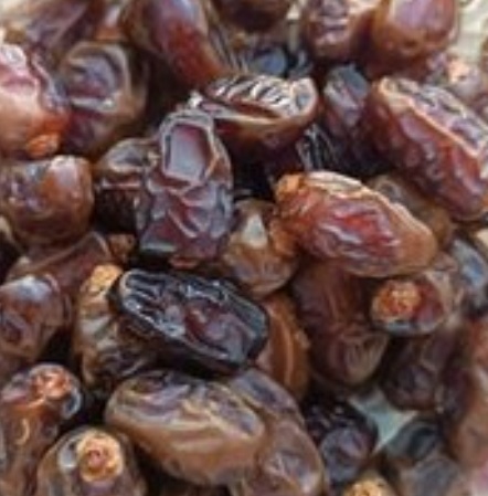 فروش خرما برحی