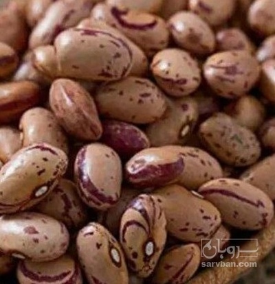 فروش لوبیا چیتی