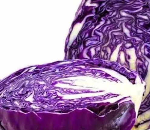 فروش کلم برگی قرمز