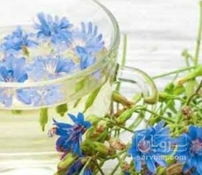 فروش عرق کاسنی
