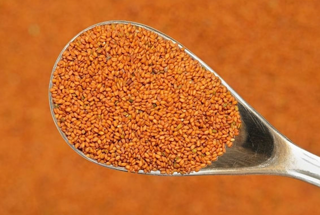 فروش خاکشیر (گیاه‌ دارویی)